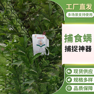 �Ĵ���ʳ�\�S�ң������g���\�������g���\--���μt֩�롢��ʭ�ѵ�