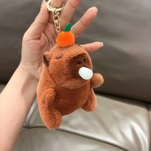 ��Ƥ����ë�q��ż����������󘷴��Ƚ≺��ߴ���������ë�q���