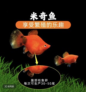 �t�����~̥���~�^�p�~С���~���w���B�����~�Ꭷ�t���¹��~��ȸ�~