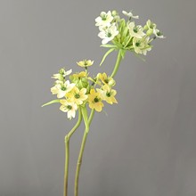 ���滨��֦���Z�q���}�İٺ�ȸ÷�F���ҾӘӰ��g��c�bzӰ����