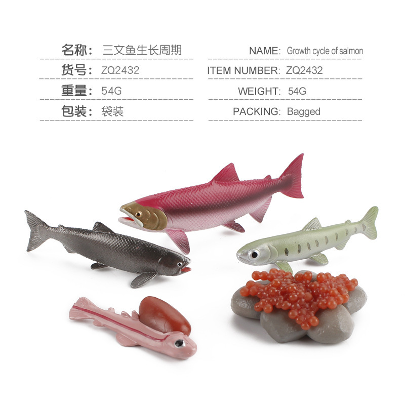 Salmón PL127-2432 54G