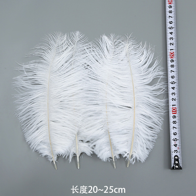 20-25cm 타조 깃털 하드 폴