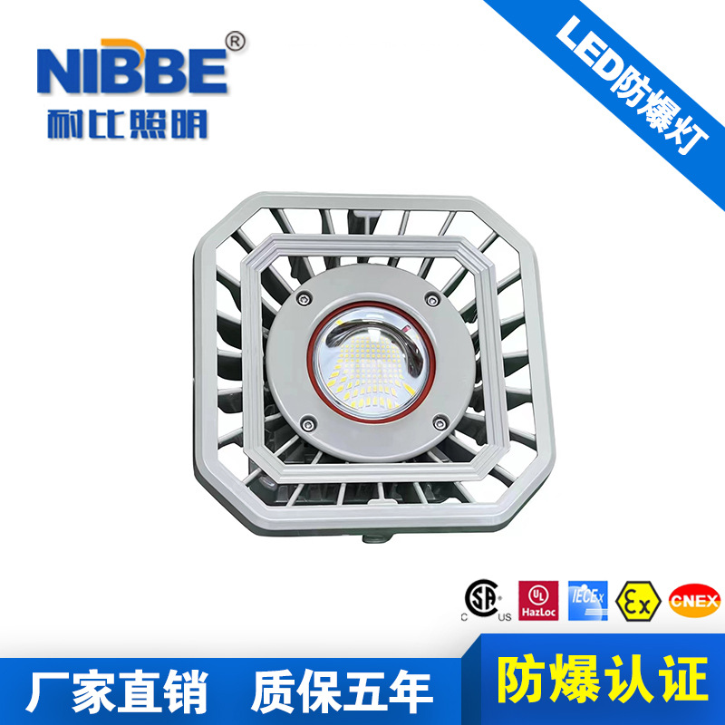 耐比足瓦LED防爆灯化工厂加油站隔爆型车间仓库工厂防爆强光