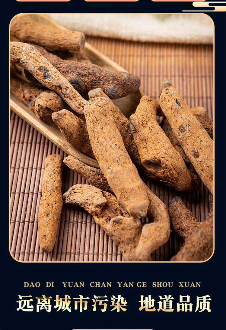 Yunnan Xue San Qi Dried Herb 500g Natural Blood Panax Notoginseng for Wine Infusion and Grinding key features