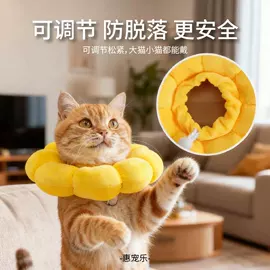 猫猫玩具;狗狗玩具;狗狗清洁
