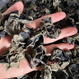 ��ľ���������l����˖|��Ұ��С�������ľ��ľ����ă�