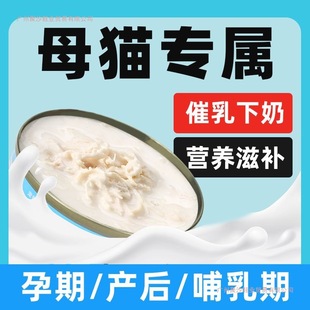 ĸ؈��������؈���^�I�B���������u�z�����ڮa���g�����a���^