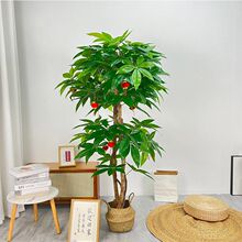 ����lؔ���辰�h������ֲ����ؼ�ͥ�̈��������������b���ؔ��