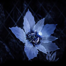 机械党彼岸花金属拼装花朵手办摆件玩具节日礼物女生赵牧辰同款