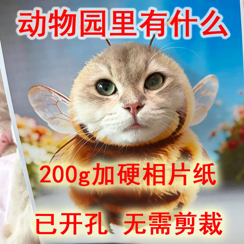 What Images Are in the Zoo? Photo Paper Cards, Cosplay Decoration Paintings, Headgear with Holes, Pet Toys What Images Are in the Zoo? Photo Paper Cards, Cosplay Decoration Paintings, Headgear with Holes, Pet Toys