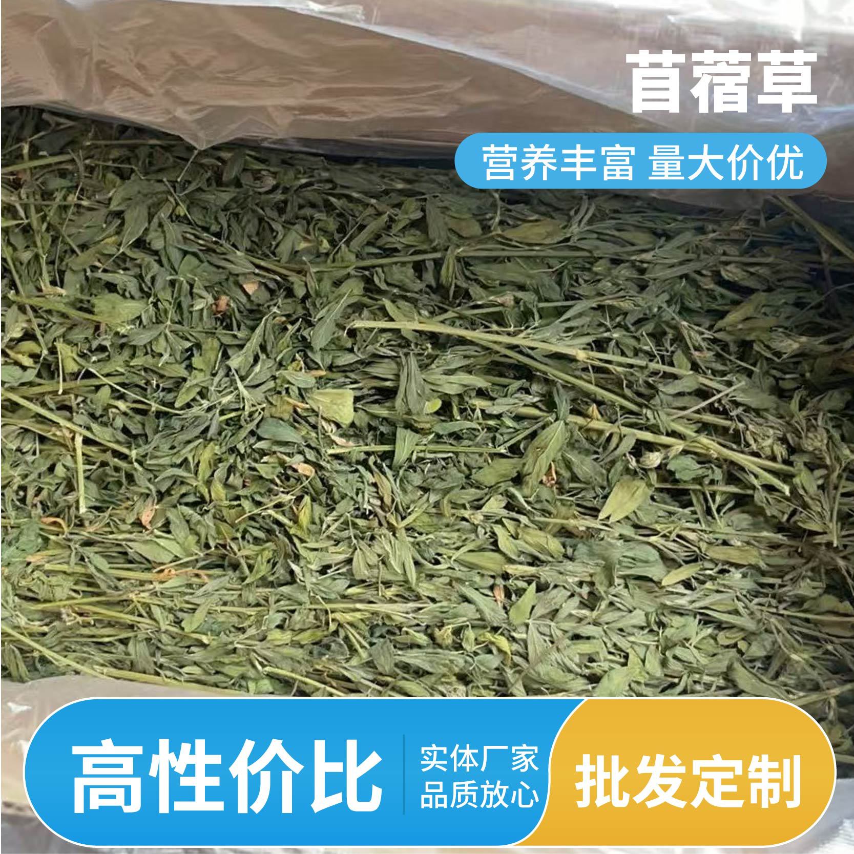 烘干苜蓿草干草兔子新草龙猫荷兰猪幼兔食用干牧草紫花粮草苜宿草