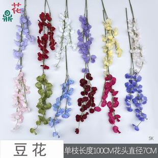 ���� ��֦�㶹�� ���»�Y���û��Ľ��� ��Ʒ��Y�ù��T�廨�ٻ�