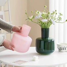 花瓶客厅插花玻璃花瓶ins风轻奢高级感摆件干花水养简约家居饰品