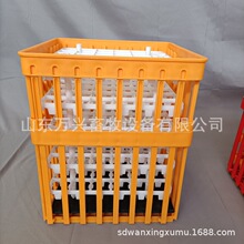 纯原料单体式种蛋筐鸡蛋筐多功能筐价格塑料筐