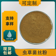 虫草菌丝粉 冬虫夏草提取物 琼华生物 发酵虫草菌丝体 现货