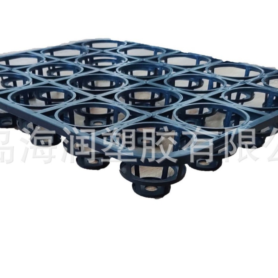 蓝莓育苗盘、穴苗盘、种植育苗盘