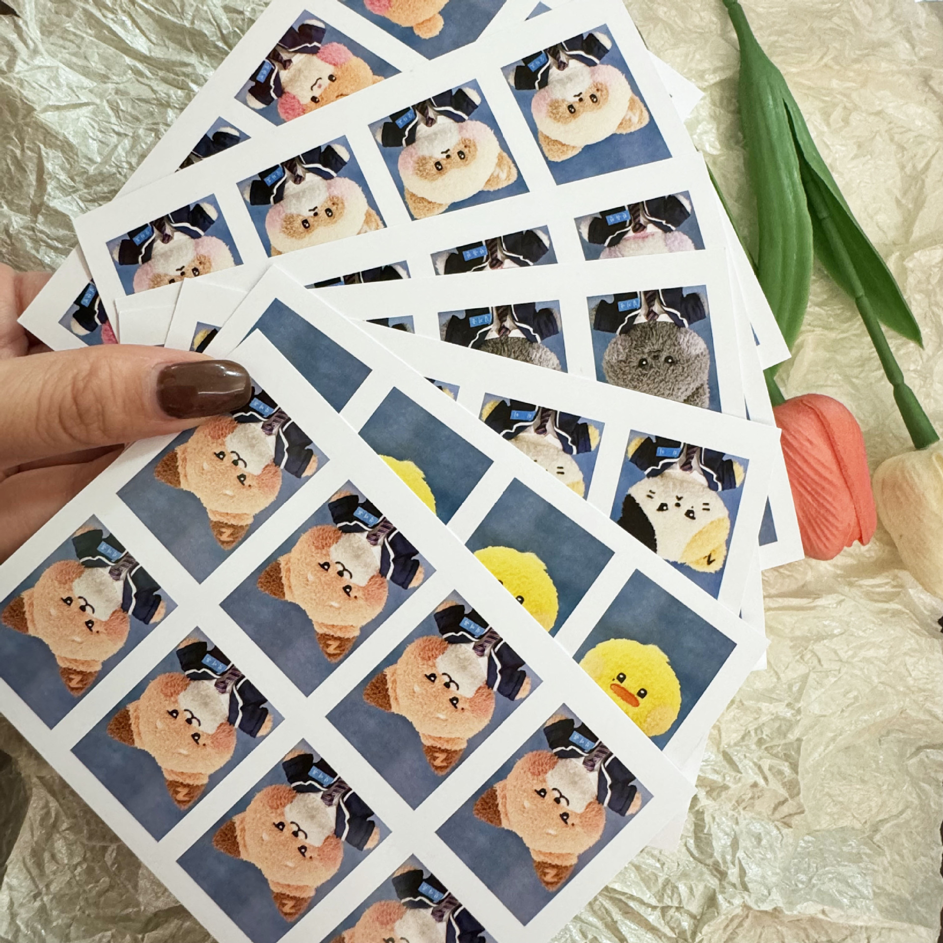 Zb1 Cartoon ID Photo ID Photo One-inch Photo Zhang Hao Han Weichen Surrounding Photo