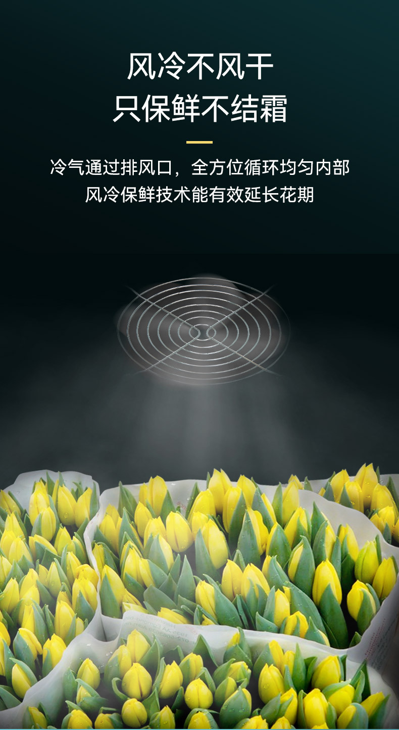 鲜花保鲜柜