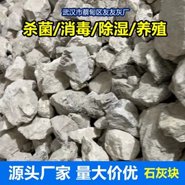 钙氧化物;氢氧化钙