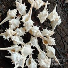 ���l��ɫ�L���� Ů�׹��� ��Ȼؐ������ DIY�Ĕz�����~���쾰�b�