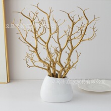 �����֦�b[������ɺ���ɘ��֦���Ͳ廨ˇ�g�����ɫ�b���