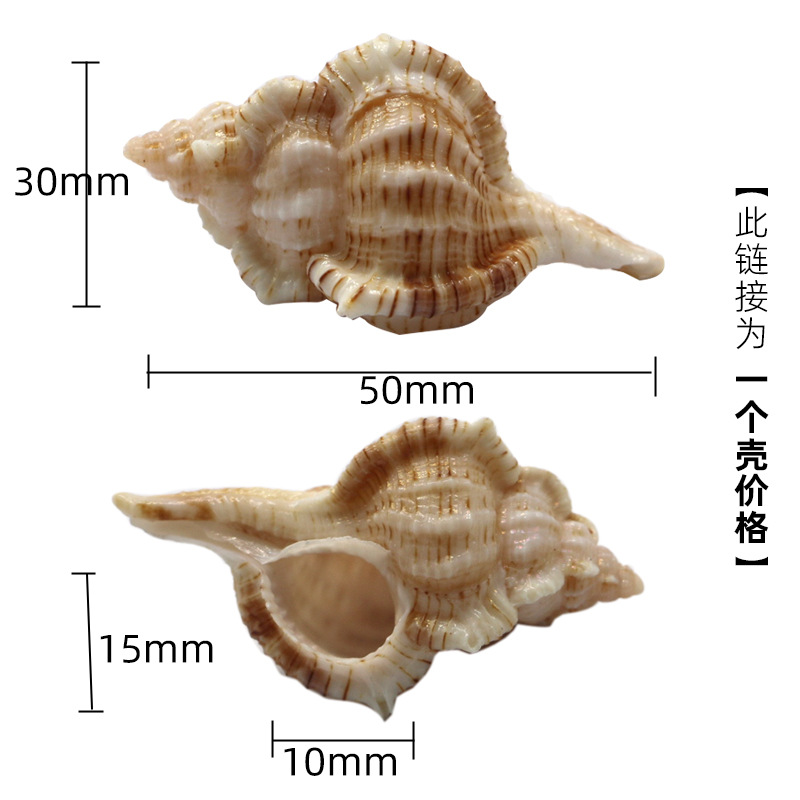 연꽃색 x61 이이지게 2-3cm 게