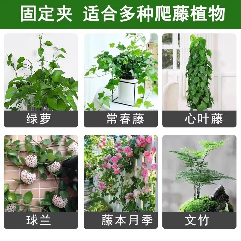 绿萝爬墙固定器绿植攀爬绿植爬墙神器夹子墙上无痕挂钩粘爬藤杆子|undefined