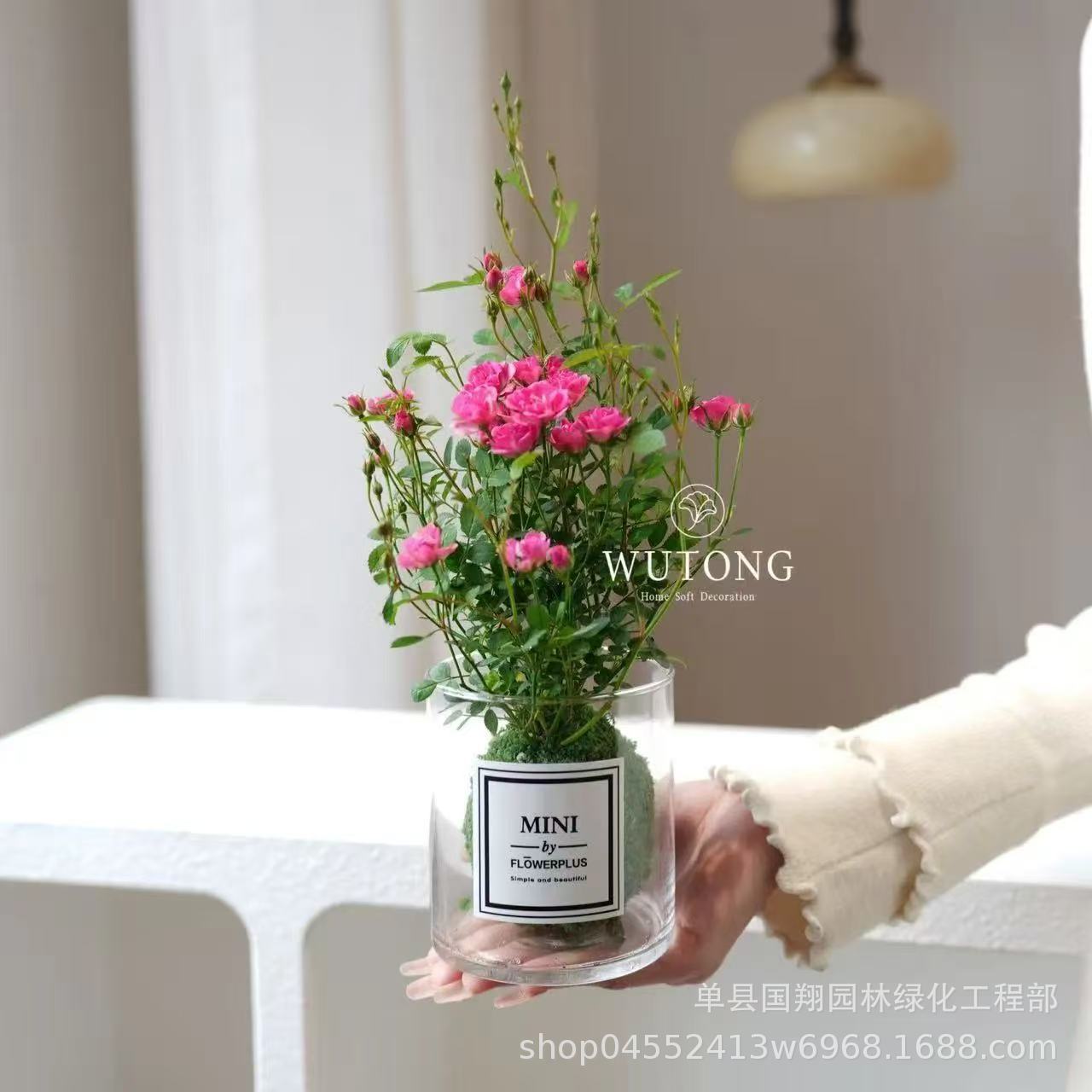 Ultra-fine rose moss ball [delivered with buds] + cylindrical glass bottle