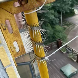 安保防卫用品;其他金属丝;防护栏