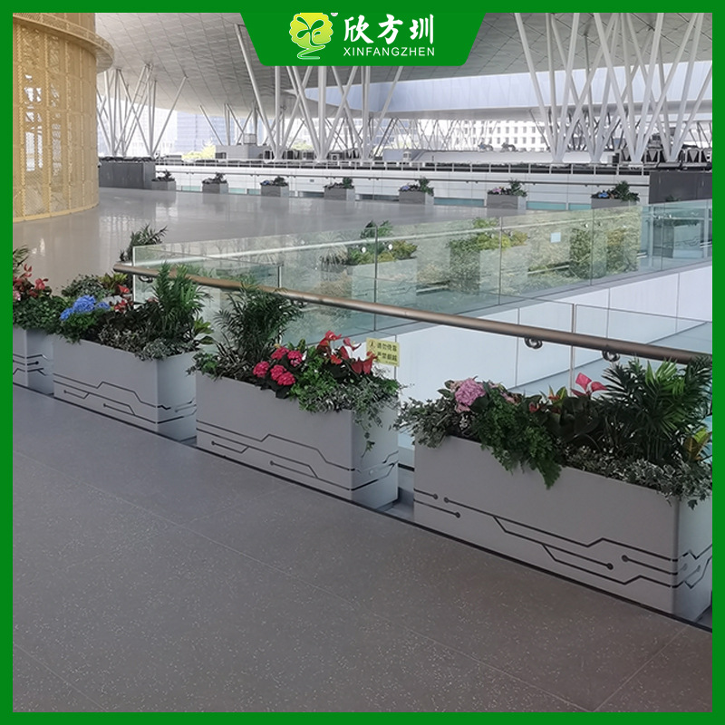 深圳室内会展中心展览馆喷粉方形金属花盆隔断长条形不锈钢花箱