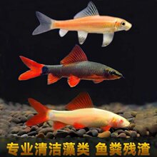 �������w��̦��ʺ����坍�~�����~�^�p�~�����~���~�����~��ˮ