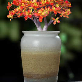 景德镇手绘多肉花盆陶瓷大口径老桩法师盆带脚透气延禧盆绿植组盆