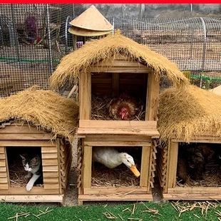 ���⌍ľ���u�\���u�C�u���u�����u�\��\؈�����ӻ\�B�\���ù��C