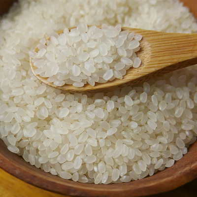 泥河湾有机大米5kg 2021新米批发 正宗粳米农家自产软糯香甜