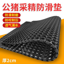 ĸia|iɾ|z|Ӻi˹ھ؉|