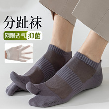 ��ɫ��ֺ�����ж����ļ�����ǳ���˶���������͸����ֺ�����ബ��