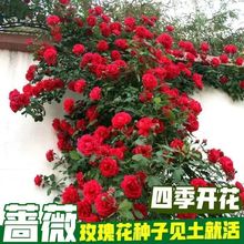 NޱN¼õļ_ԮͥԺͺ͟Ứ