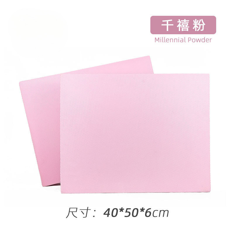 밀레니엄 핑크 40*50*6cm