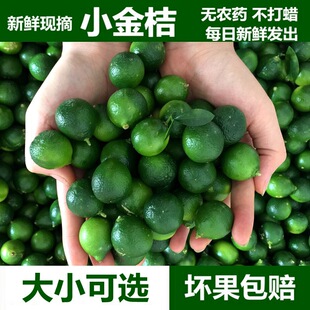 ���rС��۬F؛1��5���̲茣��ˮ������С���С�������������