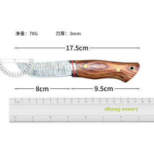 Portable Outdoor Camping Meat and Fruit Knife, Lunch Meat Peeling and Cutting Knife, Yangjiang Boning Knife, Camping Yangjiang Product