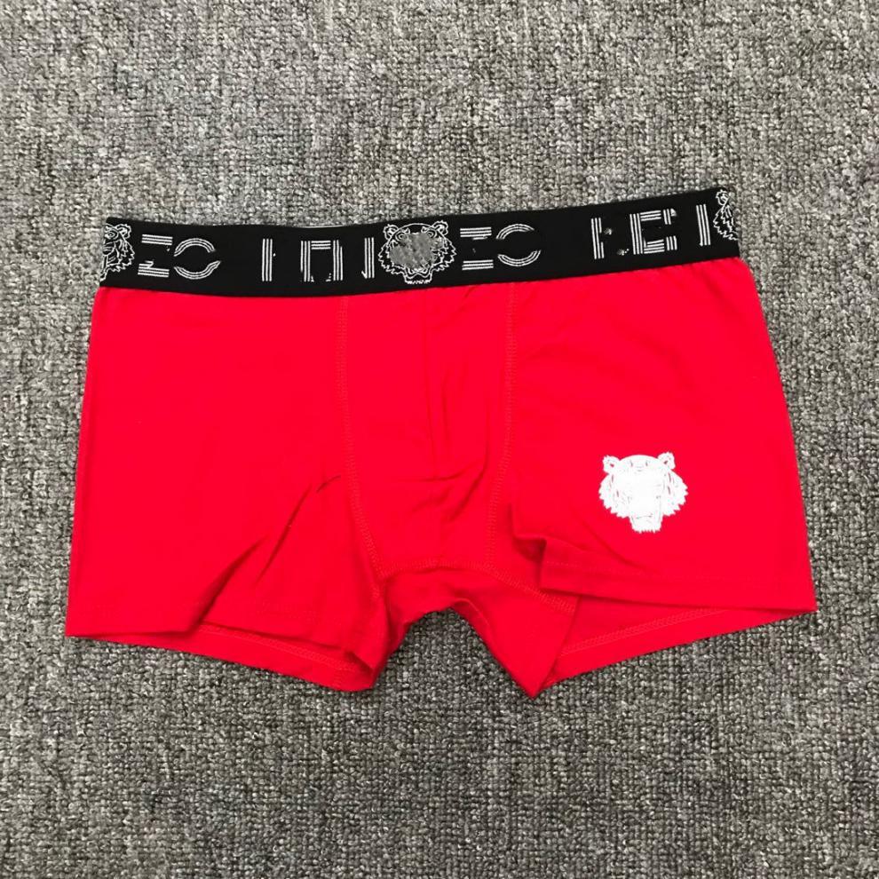 微信图片_20200606232851_副本