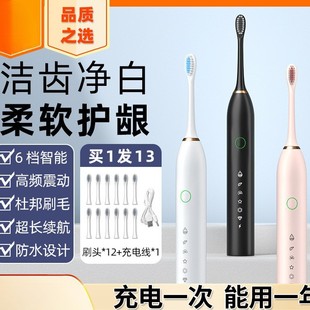 Sonic Electric Toothbrush for Students, Adults and Couples, Soft-Bristled Waterproof Rechargeable Fully Automatic Toothbrush, Soft-Bristled Household