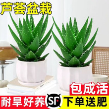 �J�C�����҃ȳ���ȩ�����՚�Gֲ���k���������ļ����B����������