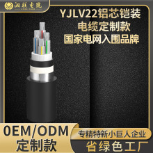 湘联电缆YJLV22国标铝芯铠装电缆3+1 3+2三相四线工程用线定制款