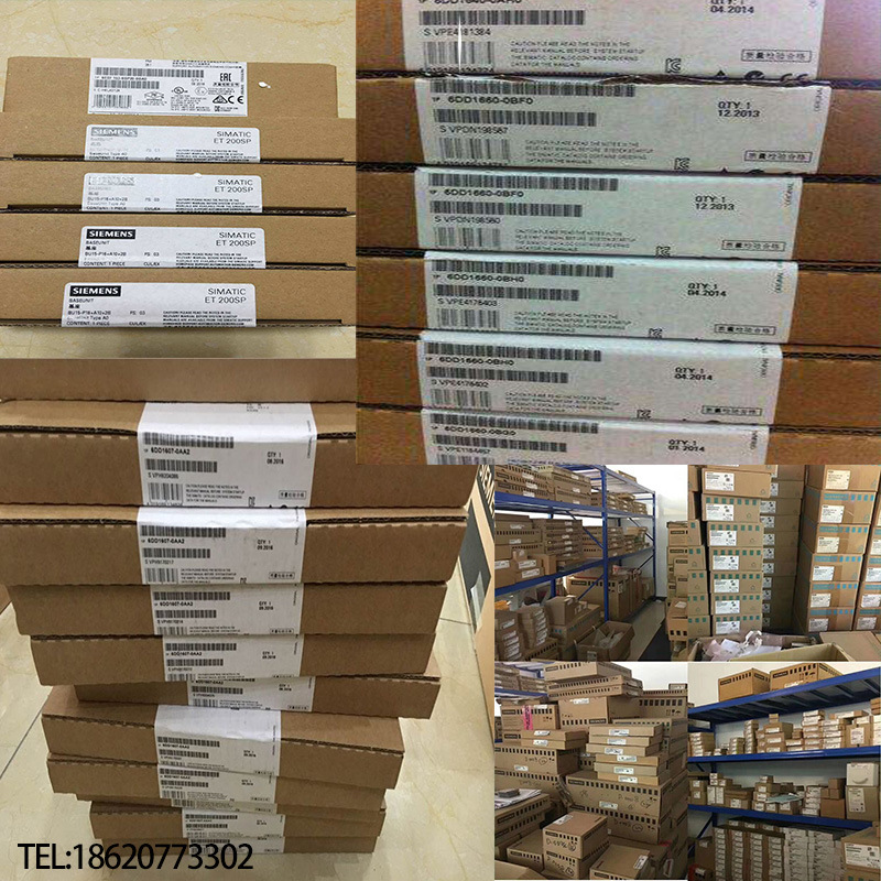 西门子D通信模块CS8载体模块6DD1662-0AC0
