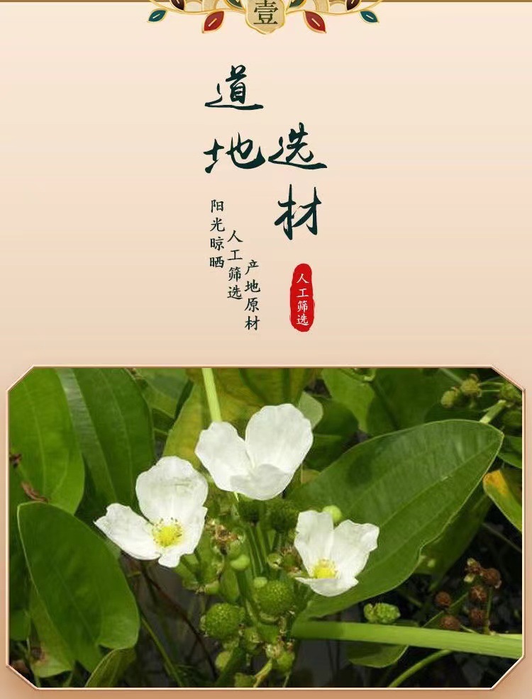 Dried Alisma Slices Ze Xie 泽泻 500g Sichuan Decoction Pieces for Herbal Soup and Tea overview