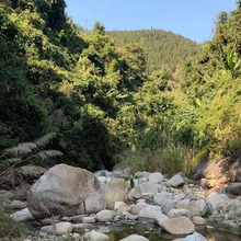 水池河道驳岸石 鹅卵石公园铺地铺路水冲石溪坑石园林造景
