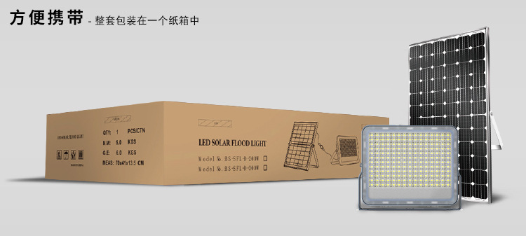 BS-SFL-03爆闪中文详情 (14).jpg
