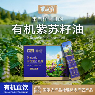 高级感后脑勺发夹