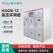 高压环网柜高压开关柜成套设备高压环网柜高压进出线柜配电柜中压